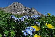 MONTI VINDIOLO e VETRO ad anello da Zorzone-Pian Bracca in VAL VEDRA il 13 giugno 2019 - FOTOGALLERY